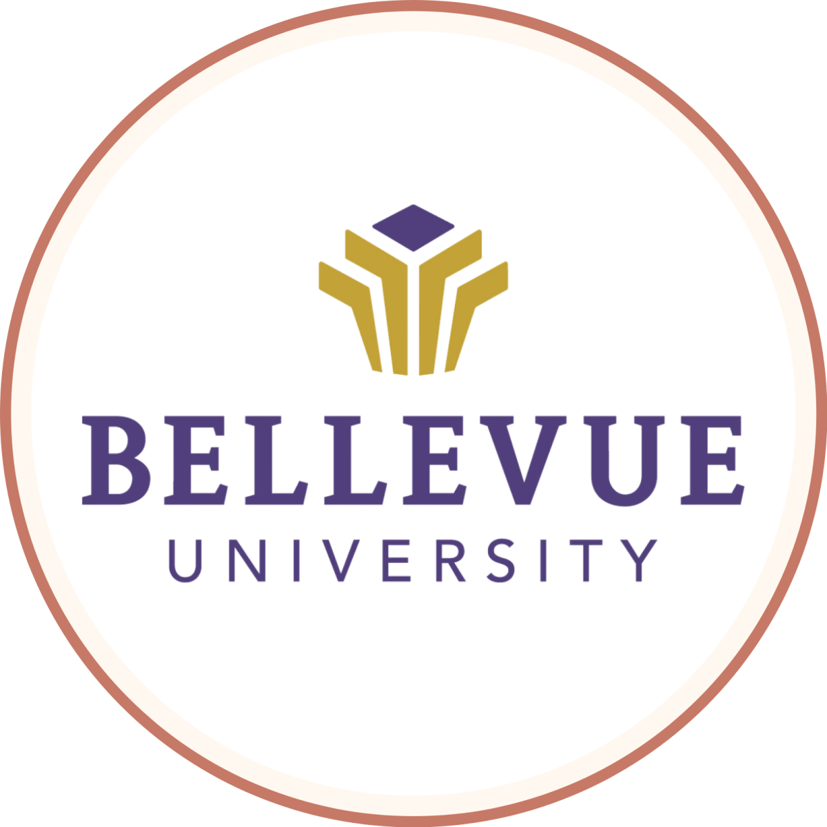 Bellevue University master's student internship partner